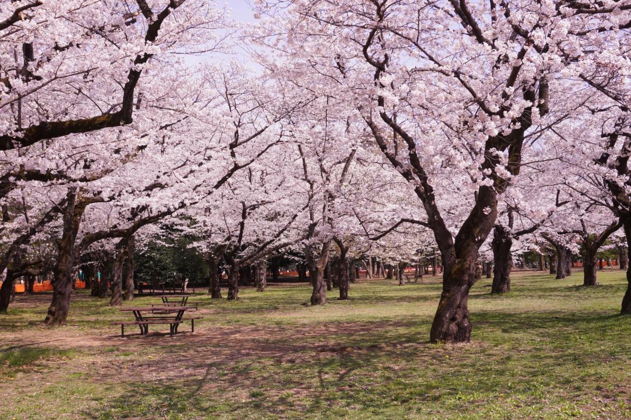 東京都渋谷 広め50M2 2Ldk 代々木公園駅徒歩5分 家族におすすめアパートメント エクステリア 写真